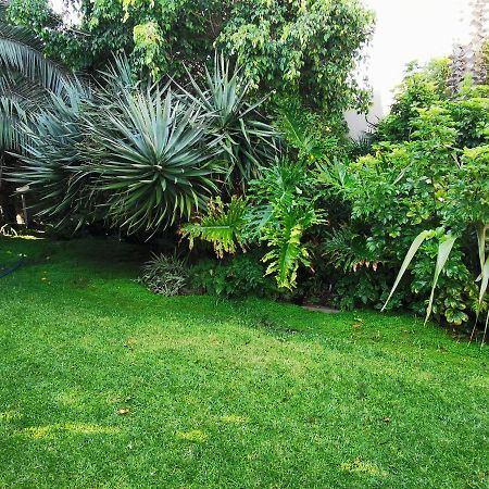 Апартаменты Mulberry Gardens Self Catering Свакопмунд Экстерьер фото